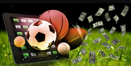 How to distinguish a trustworthy online bookie from a scam