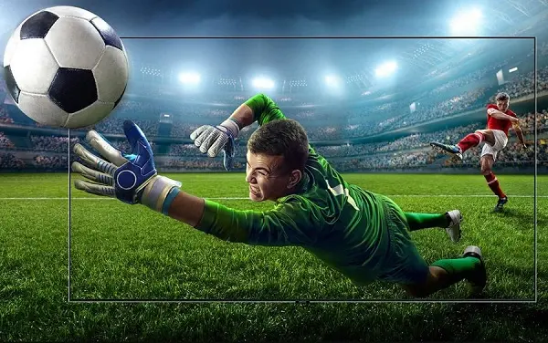 Handicap tips 0.5 can profit from the football bookie