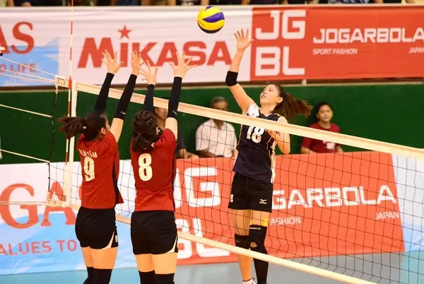 Types of volleyball odds you must know if you want to win big