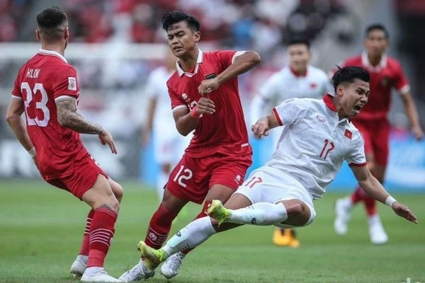 identify vietnam vs indonesia 26032024