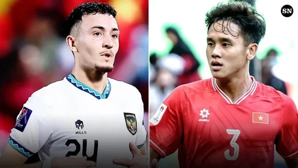 identify vietnam vs indonesia 26032024