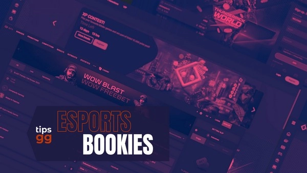 Best Esports Betting Sites Ranked for Serious Punters