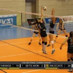 Live Volleyball Scores: How They Impact Your Bets