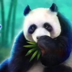 Panda Blitz - Bamboo Treasures and Wild Pandas Win