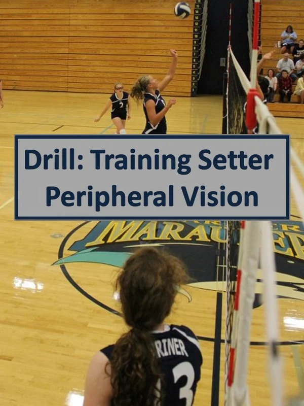 Is setter vision the missing factor in spread betting?