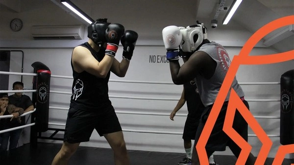 How does boxing stamina crash affect late-round bets?
