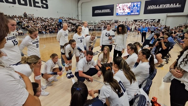 When should bettors act on volleyball tactical timeouts?
