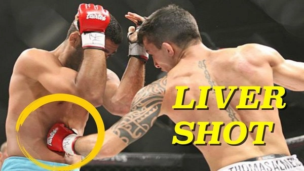 Is bodybuilding the most underrated element in boxing betting?