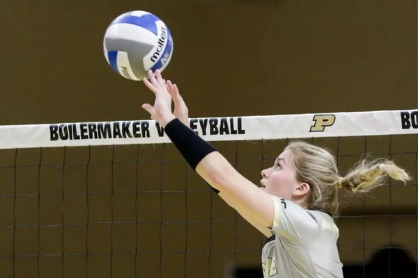 How does the bias of the setter affect volley betting?