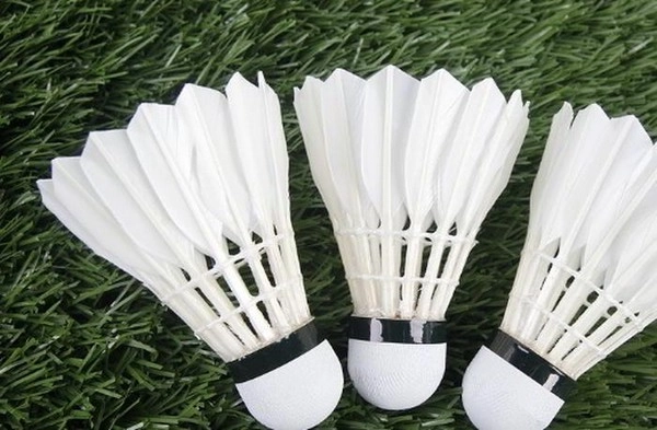 How Quickly Do Live Badminton Odds Update During a High-Speed Rally?
